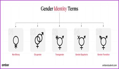 Understanding Gender Identity: The Case Of Brittney Griner's Biological Sex